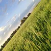 yasrha_1