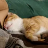 xxx_com72