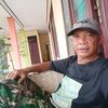 asmik_mimik