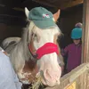 avaandherloan7