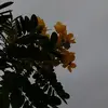 amw_r22
