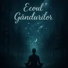 Ecoul gandurilor