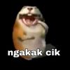 bsk.irfan.cuk.kur