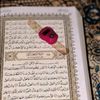 zainab.jafar47