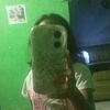 al.faren2