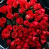 mvnaa_285