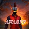 anas_yk01