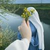 rawan0185