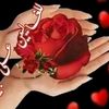 user72273999601312