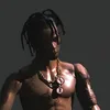 Travis Scott