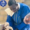 abdoulahatndiay80