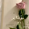 hayat.dalm6