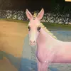 mlpviolonch