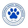 K9plus story