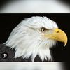 djery56