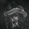 ghada.ahmed8153