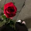 fatemeh.haseni