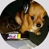 user1740014953832
