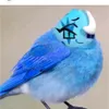 mafiozniki_suda
