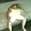 kroksych
