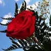 user94012761439863