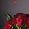imnd10