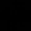 h161306