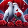 user4323610851133