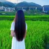 petalwhisper449