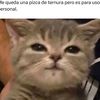 laqmetrajo2