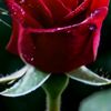 user789401946