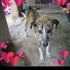 user511921626123