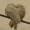 aottj7