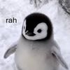 pandapenguin91