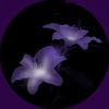 milaplayzgrowagarden_808