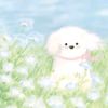 starlitdaisy1