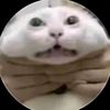 user777766029