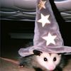 rat.wizard1
