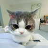 mizz5916