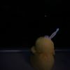 pepples_duck