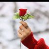hamayounkhan258
