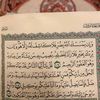 yara.ahmad419