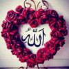 saifulhassan300