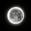 luz82288