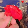 itzbukhari24