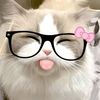 sirida_75