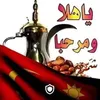 user20731204321160