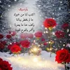 user9614599127095