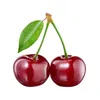 vishnya_horoshiy