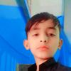 user488261235